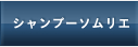 開発者について